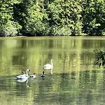 Stastna Samota * Vrchotovy Janovice