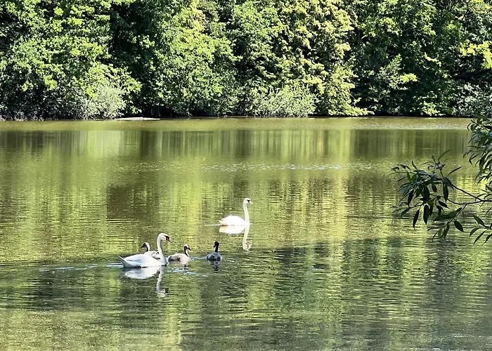 Stastna Samota * Vrchotovy Janovice